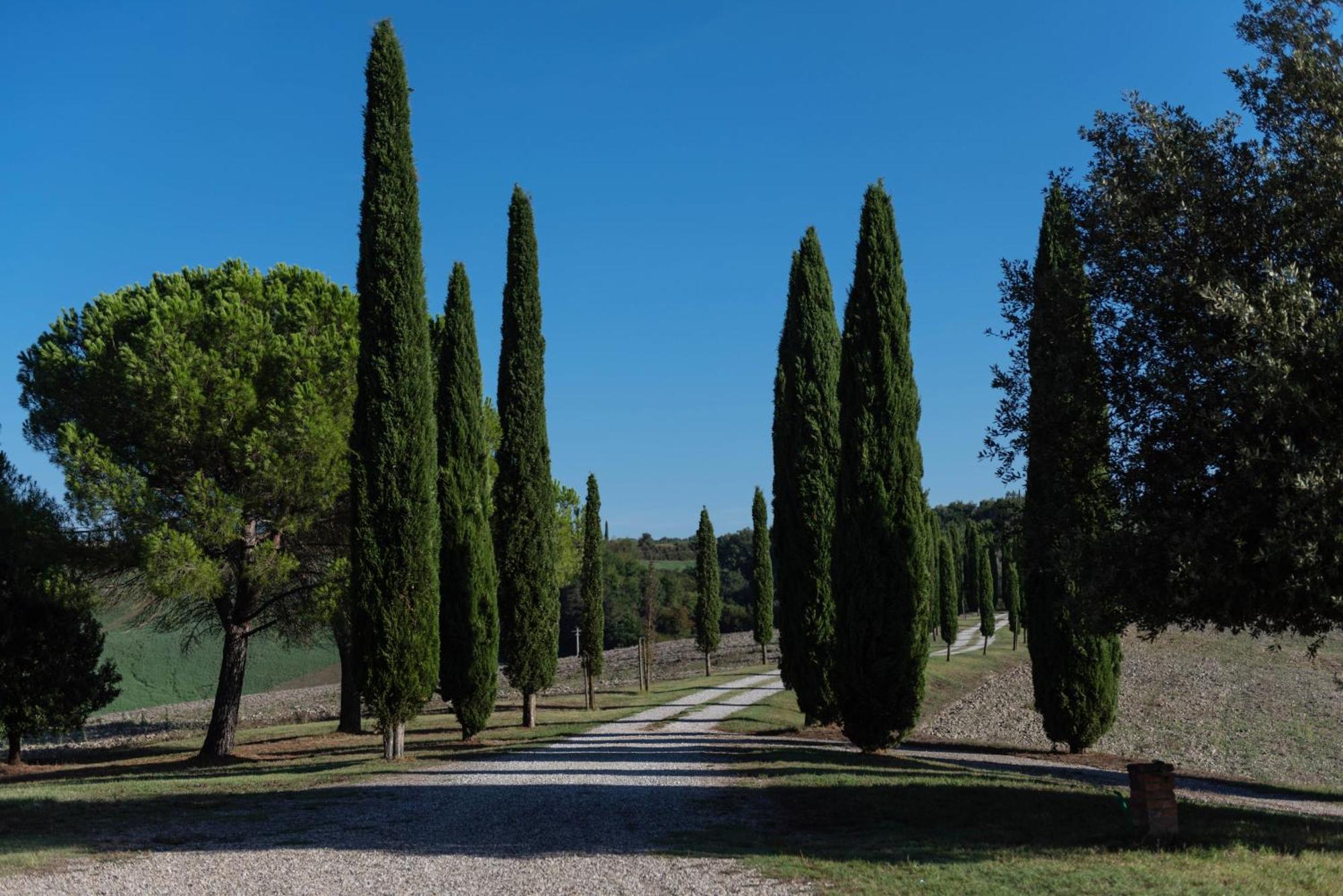 Villa Cucule Siena Ngoại thất bức ảnh